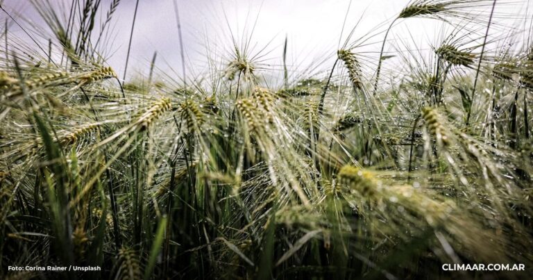 ¿Qué tiempo hará en Salta este fin de semana? SMN proyecta 12°C a 26°C